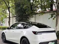 Tesla Model Y Rear-Wheel Drive - ფოტო 8