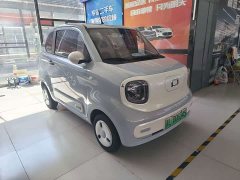 FAW Besturn Xiaoma 2026 222km Shining Edition - ფოტო 3