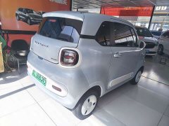 FAW Besturn Xiaoma 2026 222km Shining Edition - ფოტო 4