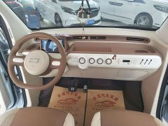 FAW Besturn Xiaoma 2026 222km Shining Edition - ფოტო 8