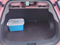 Neta V Tide 400 Lite Pink Custom Edition - ფოტო 4