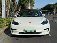 Tesla Model 3 Rear-Wheel Drive - ფოტო 2