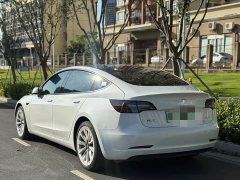 Tesla Model 3 Rear-Wheel Drive - ფოტო 8