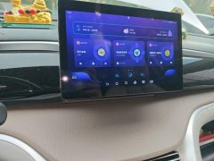 BYD Song Pro New Energy 2023 Champion Edition DM-i 71KM Leading Type - ფოტო 20