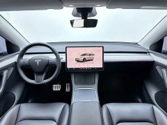 Tesla Model Y 2023 Long Range All-Wheel Drive - ფოტო 13