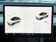 Tesla Model Y 2023 Long Range All-Wheel Drive - ფოტო 14