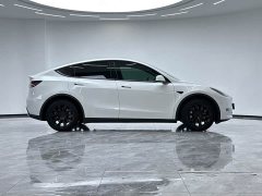 Tesla Model Y 2023 Long Range All-Wheel Drive - ფოტო 8