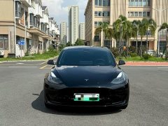 Tesla Model 3 2022 Rear-Wheel Drive - ფოტო 2