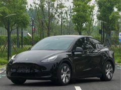 Tesla Model Y Rear-Wheel Drive - ფოტო 1
