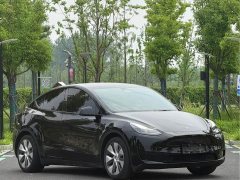 Tesla Model Y Rear-Wheel Drive - ფოტო 3