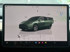 Tesla Model Y Rear-Wheel Drive - ფოტო 7