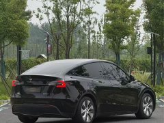 Tesla Model Y Rear-Wheel Drive - ფოტო 8