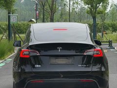 Tesla Model Y Rear-Wheel Drive - ფოტო 9