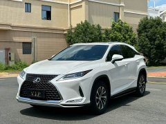 Lexus RX 2020 300 FWD Elite China VI - ფოტო 1