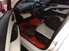 BYD Seagull 05 DM-i Smart Drive Edition 55KM Luxury - ფოტო 12