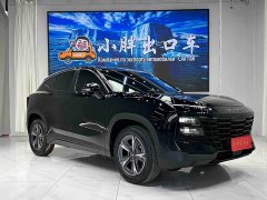 Jetour Jietu Dasheng 1.5T DCT Starlight PRO - ფოტო 3