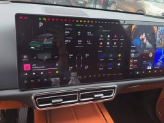 Li Auto L9 2022 Max - ფოტო 14