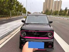 Geely Panda 210km Panda Kart - ფოტო 2
