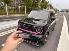 Geely Panda 210km Panda Kart - ფოტო 3