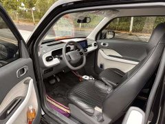 Geely Panda 210km Panda Kart - ფოტო 5