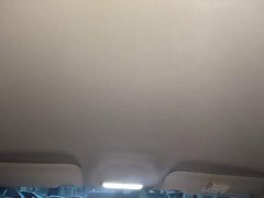 Geely Xing Yuan 310km Dream Edition - ფოტო 14