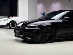 Audi RS 5 Coupe 2.9T Standard Version - ფოტო 17