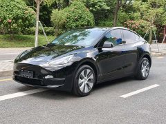Tesla Model Y Long Range All-Wheel Drive - ფოტო 1