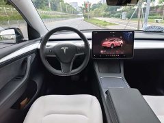 Tesla Model Y Long Range All-Wheel Drive - ფოტო 12