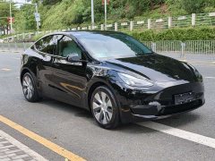 Tesla Model Y Long Range All-Wheel Drive - ფოტო 2