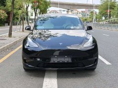 Tesla Model Y Long Range All-Wheel Drive - ფოტო 3