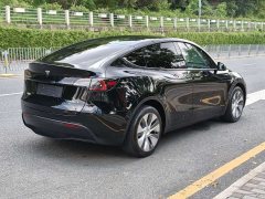 Tesla Model Y Long Range All-Wheel Drive - ფოტო 4