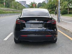 Tesla Model Y Long Range All-Wheel Drive - ფოტო 5