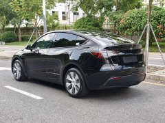 Tesla Model Y Long Range All-Wheel Drive - ფოტო 6