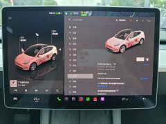 Tesla Model Y Long Range All-Wheel Drive - ფოტო 8