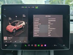 Tesla Model Y Long Range All-Wheel Drive - ფოტო 9