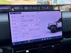 Chery Zongheng G700 Enjoyment Edition 6-Seater - photo 17