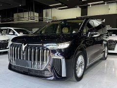Voyah Dream PHEV Extended Range Luxury Edition - ფოტო 3