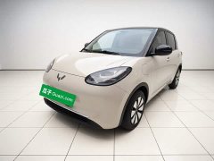 Wuling Binguo 2024 333km Joy Edition - ფოტო 1