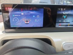 Wuling Binguo 2024 333km Joy Edition - ფოტო 13