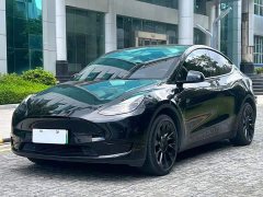 Tesla Model Y Rear-Wheel Drive - ფოტო 1