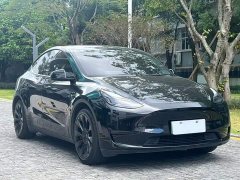 Tesla Model Y Rear-Wheel Drive - ფოტო 4
