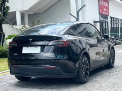 Tesla Model Y Rear-Wheel Drive - ფოტო 7
