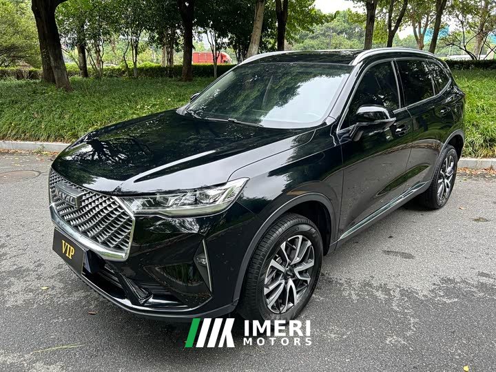 Haval H6 1.5T Two-Wheel Drive Classic Edition