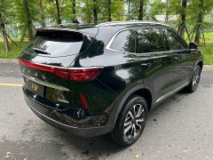 Haval H6 1.5T Two-Wheel Drive Classic Edition - ფოტო 5