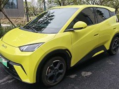 BYD Seagull Freedom Edition - ფოტო 1