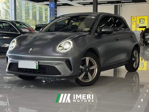 2025 ORA Good Cat 430km Deluxe Edition - ავტომობილი ჩინეთიდან