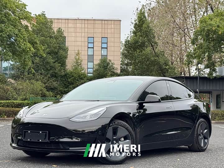 Tesla Model 3 Standard Range RWD Upgrade 3D6 - car from China