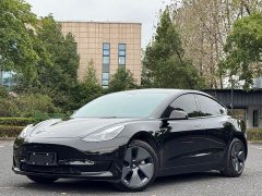 Tesla Model 3 Standard Range RWD Upgrade 3D6 - photo 1