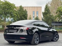 Tesla Model 3 Standard Range RWD Upgrade 3D6 - photo 10
