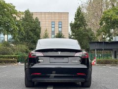 Tesla Model 3 Standard Range RWD Upgrade 3D6 - photo 11